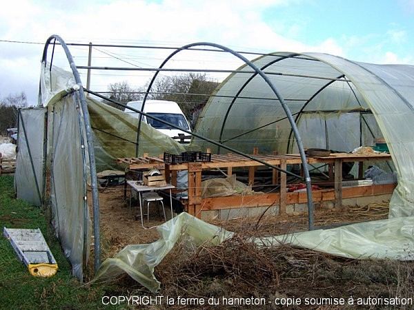 DSCF8599.JPG