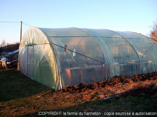 DSCF8671.JPG