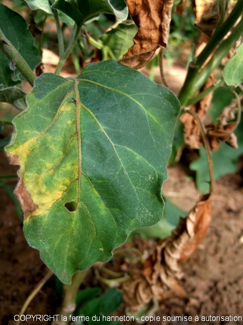 DSCF9827