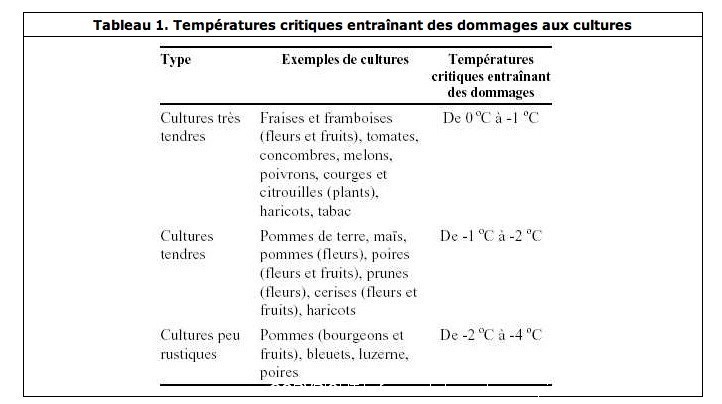 temp