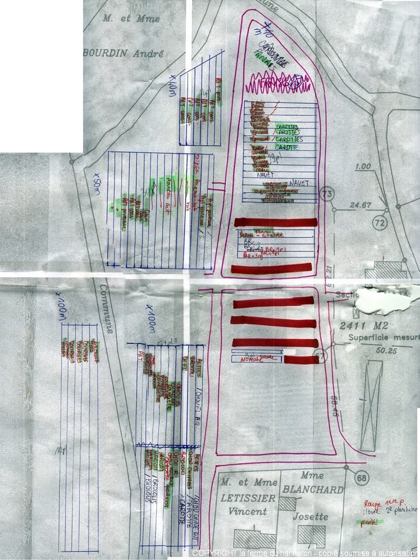 Rotation-2011