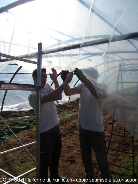 IMG_4047